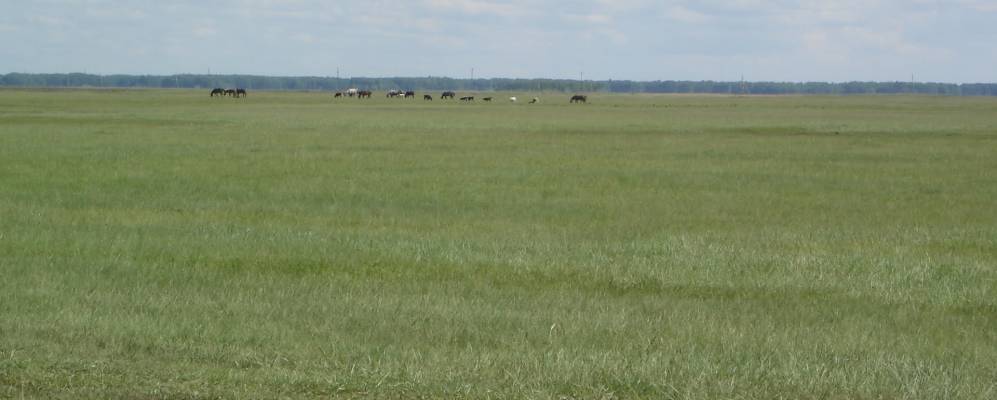 
            Фотография Ярков