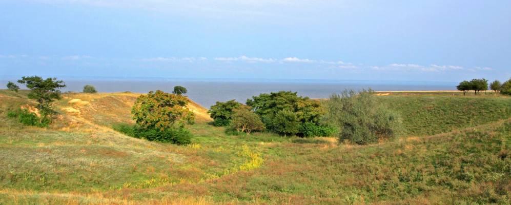 Фотография Веселого