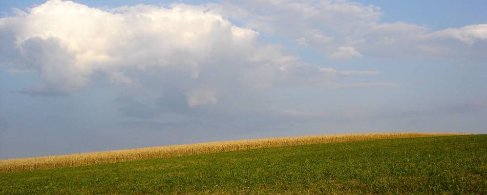 
            Фотография Альфдорфа