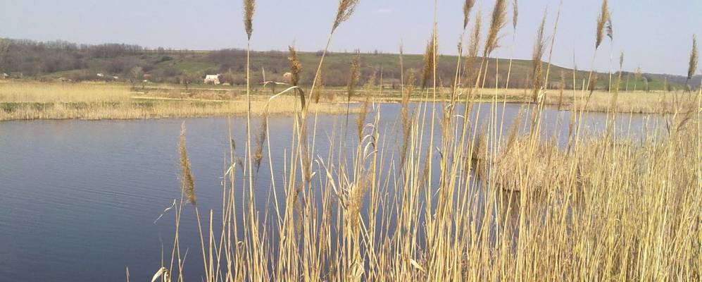 
            Фотография Браилки