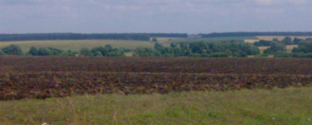 Фотография Нового Пронинского