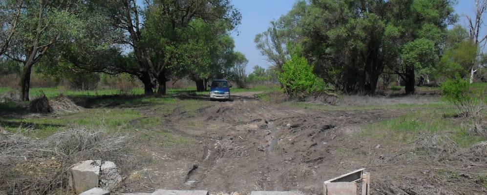 
            Фотография Луков