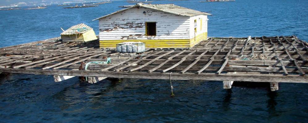 
            Фотография Муроса