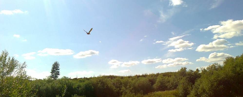 
            Фотография Огневы Заимки