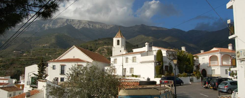 
            Фотография Седелья