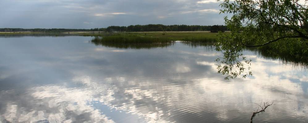 
            Фотография Сенчанки