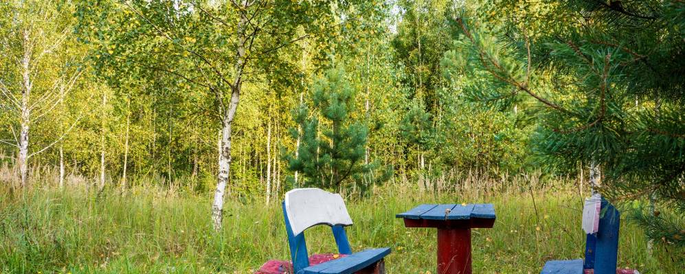 
            Фотография Шапочки