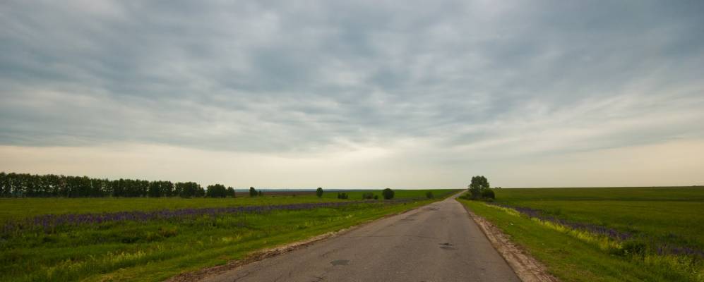 
            Фотография Миякушей