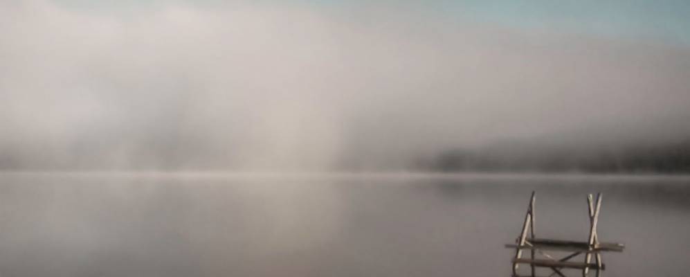 
            Фотография Дубовки