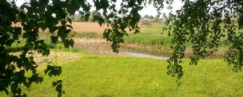 
            Фотография деревни Новодворцы