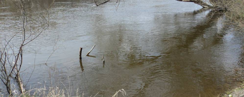 
            Фотография Дробцы