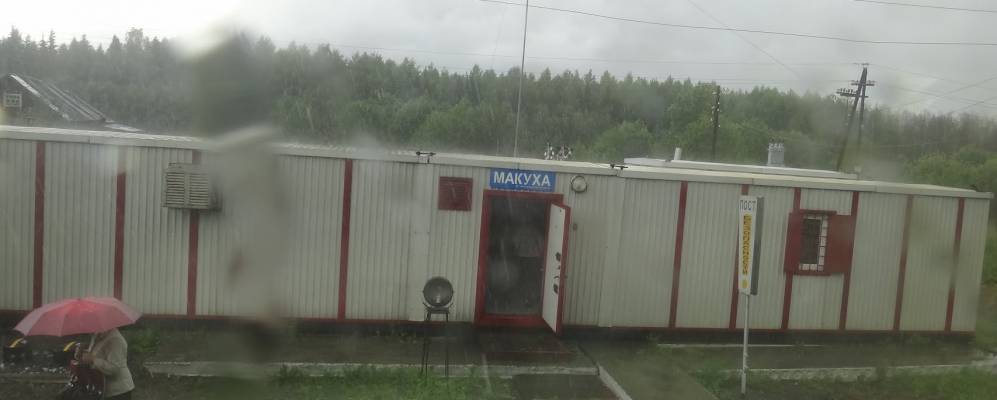 Фотография Куликово