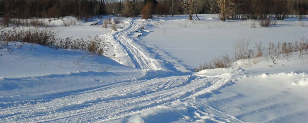 Фотография Собаконок