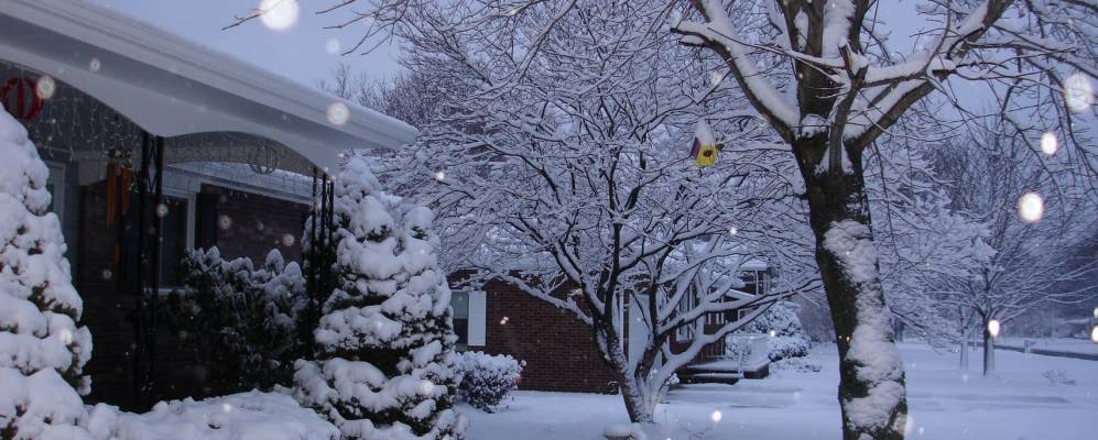 
            Фотография Нортона