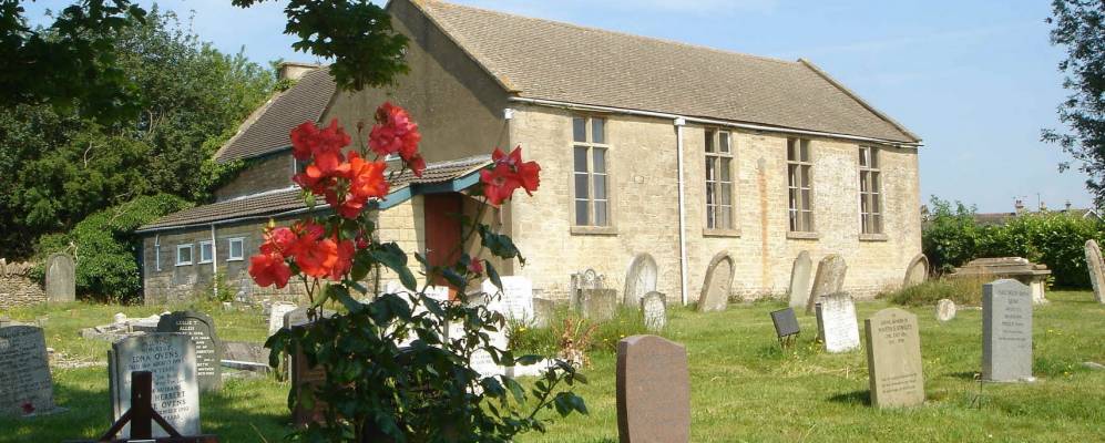 
            Фотография Нестона