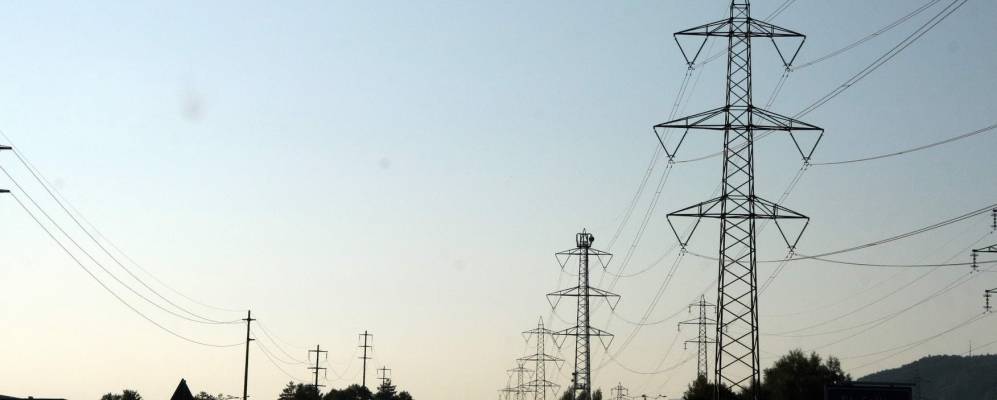 
            Фотография Шаниса