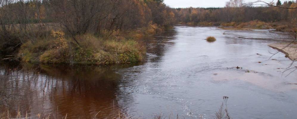 Фотография Маковеево