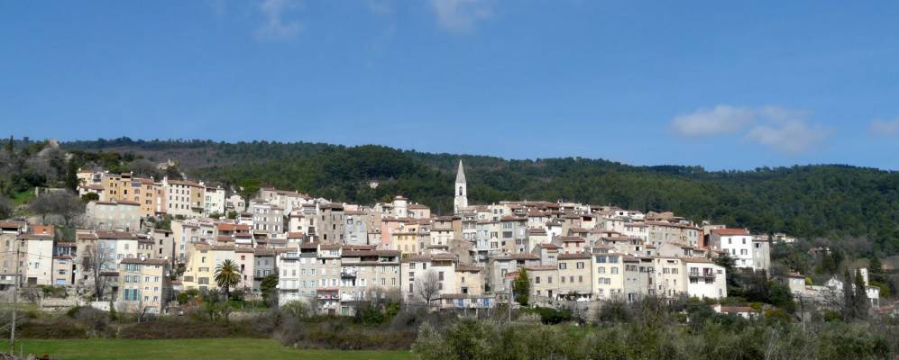 
            Фотография Калла