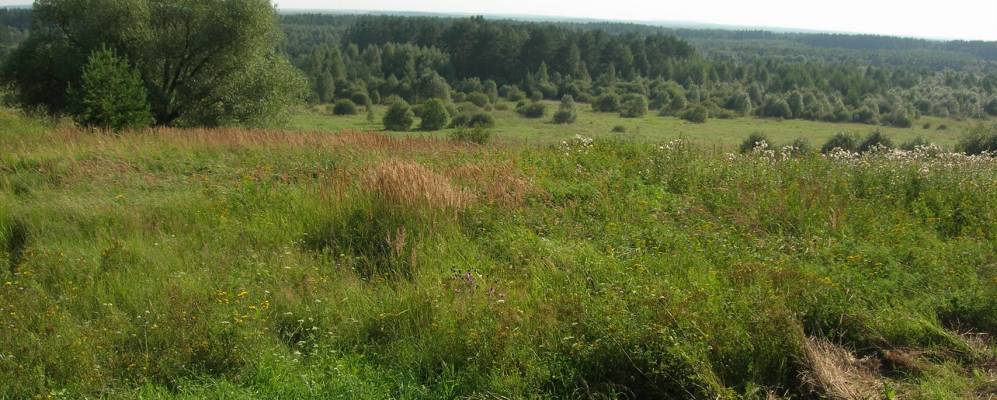 
            Фотография Шербинино