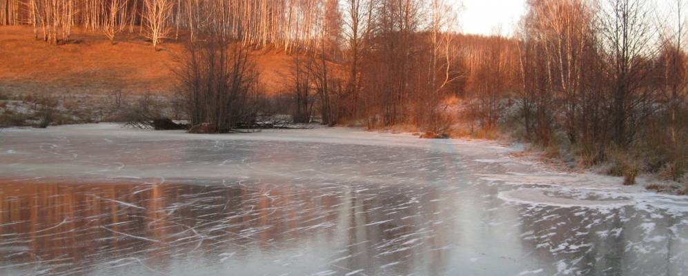 
            Фотография Лобково