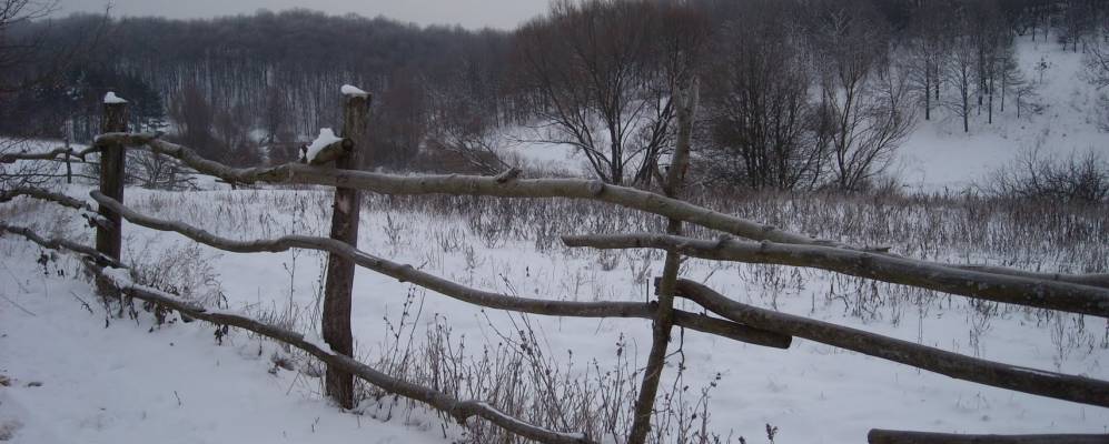 Фотография Буймера