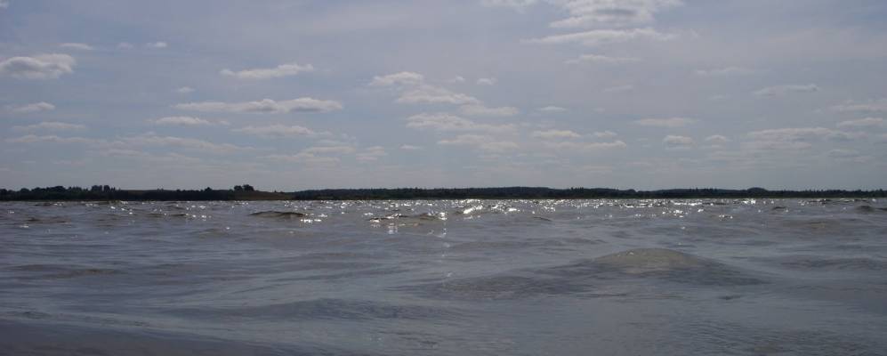 Фотография Паулья