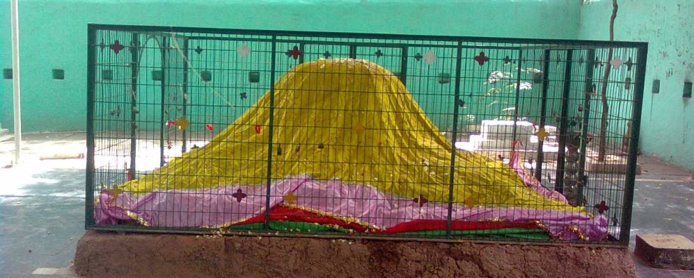 
            Фотография Нандьяла