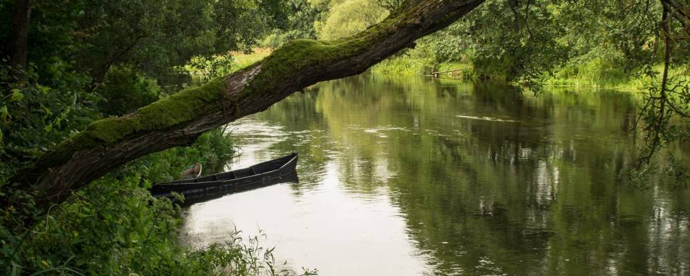 
            Фотография деревни Елажичи