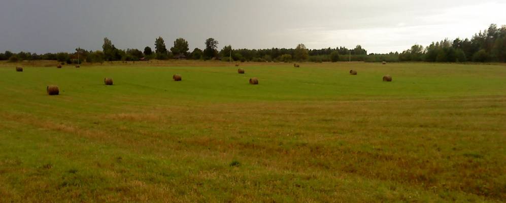 Фотография Бороухи Ловецкой