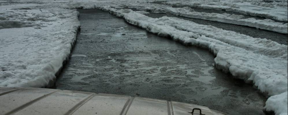 
            Фотография Яны