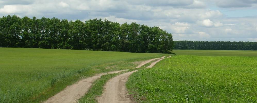 
            Фотография Тугушево