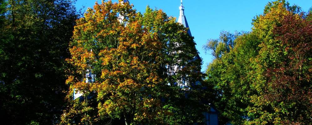 
            Фотография Мелени