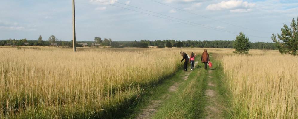 Фотография Сергино