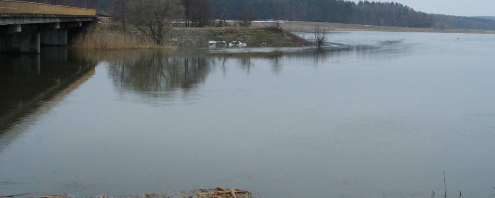 
            Фотография Рачки