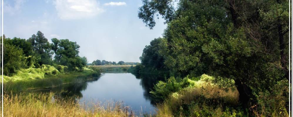 
            Фотография Высторони