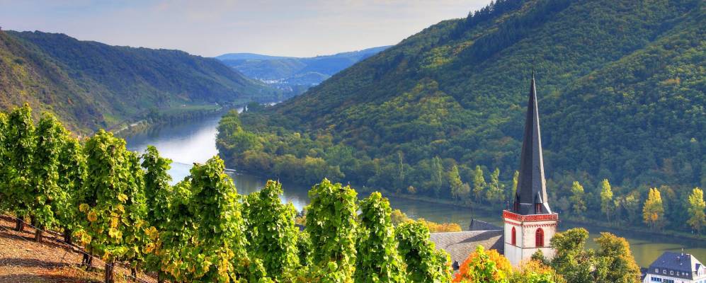 
            Фотография Клоттена