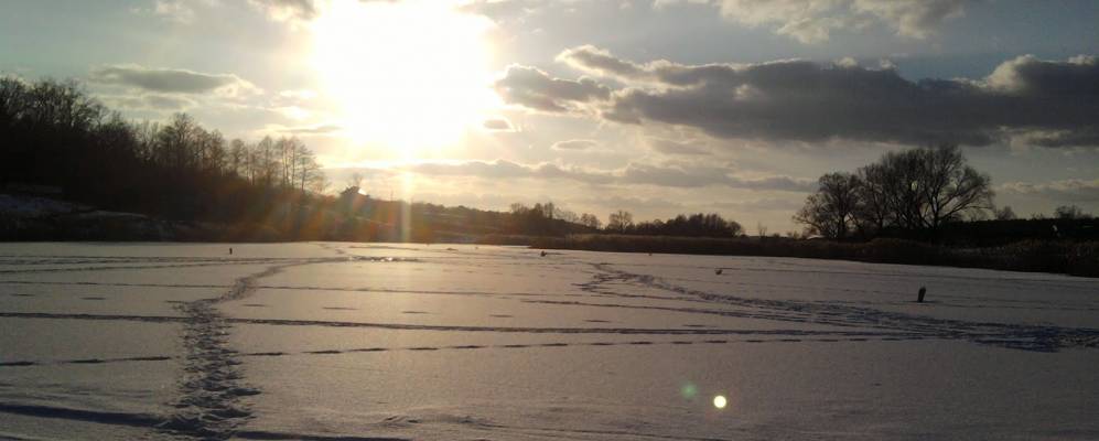 
            Фотография Вольного