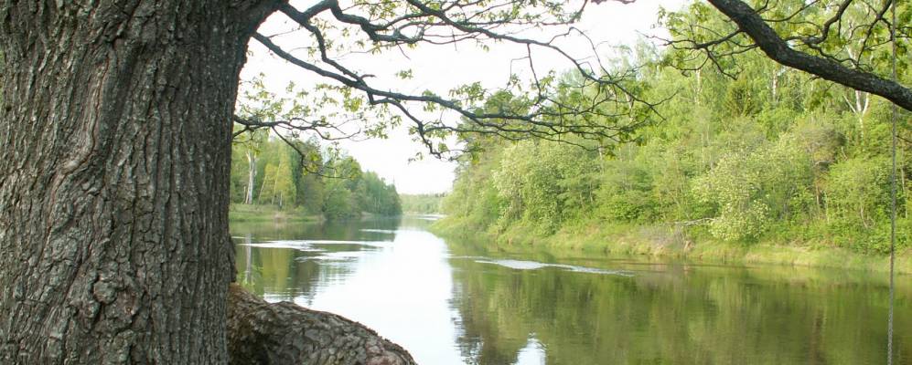 
            Фотография Залесья