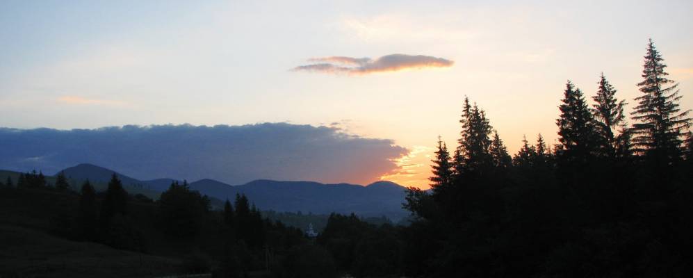 
            Фотография Красника