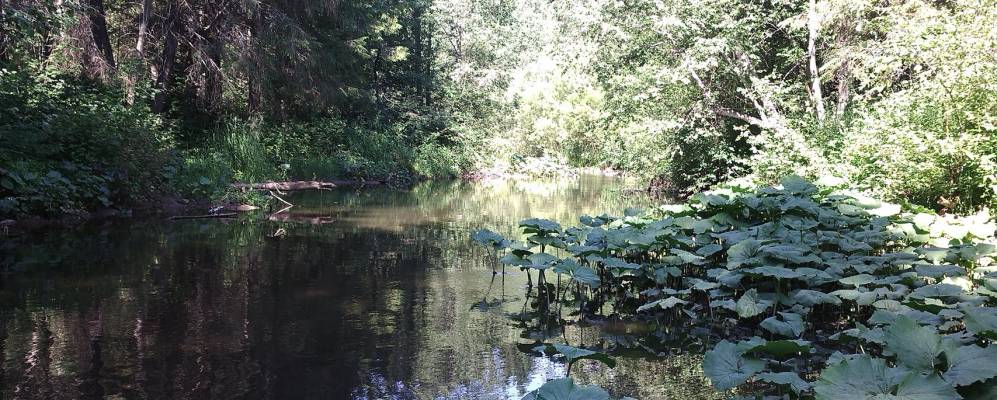 Фотография Карпят