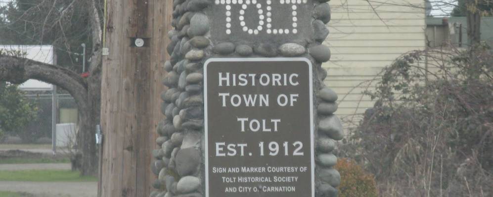 
            Фотография Карнейшна