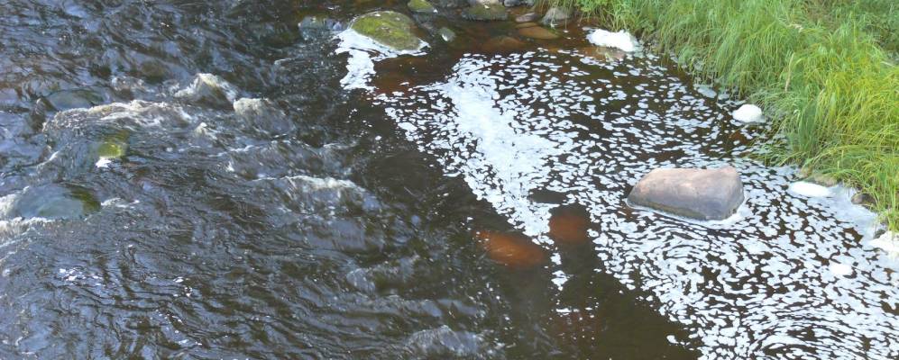 
            Фотография Кяргино