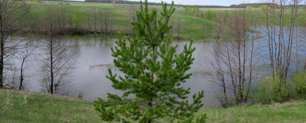 
            Фотография Пасмурово