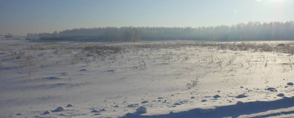 
            Фотография Сухоного