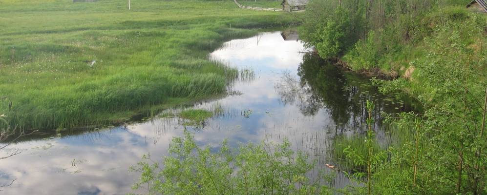 
            Фотография Рассохино