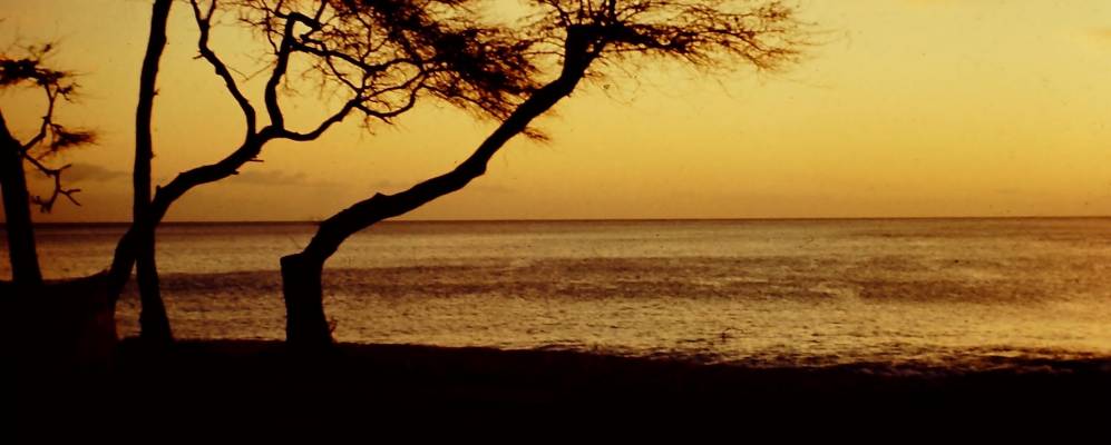 
            Фотография Нанакали