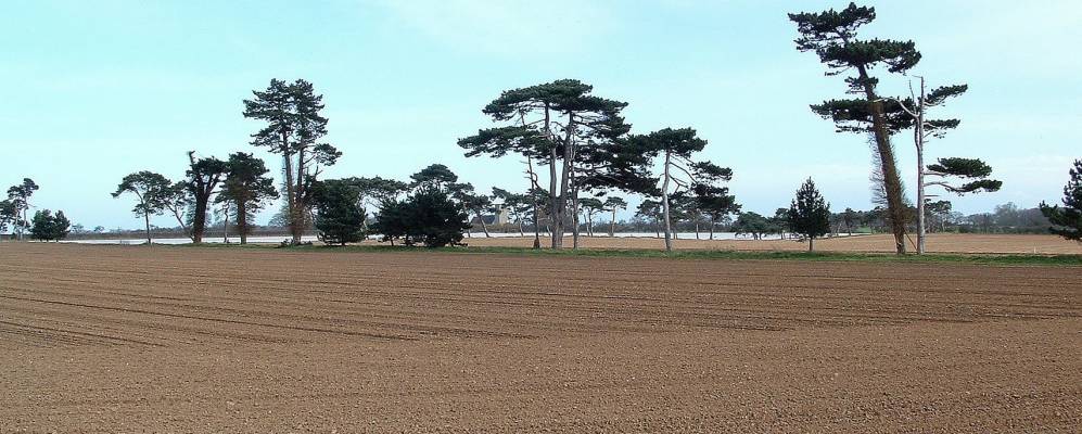 
            Фотография Бутли