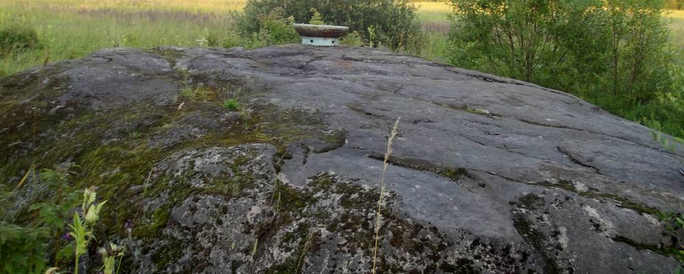 
            Фотография Пустоши