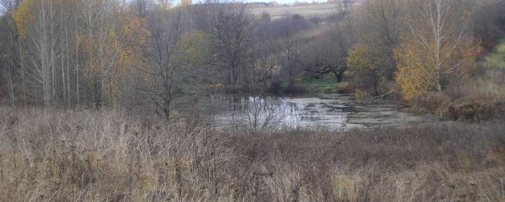 
            Фотография Пашигорьево