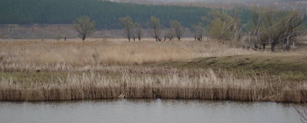 
            Фотография Нового Каразерика